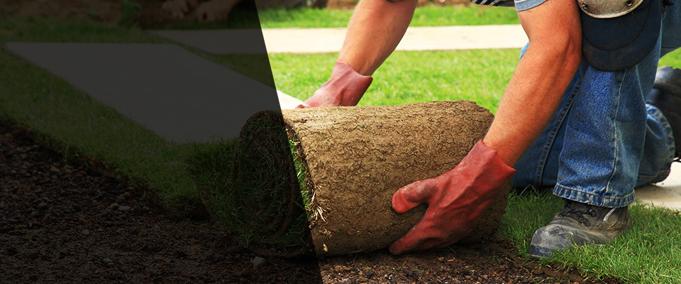 Langley Landscapers
